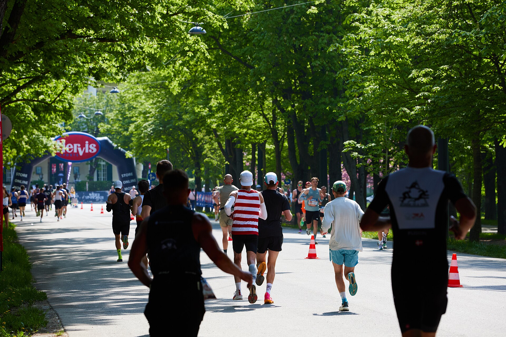 Runners participating in the Vienna City Marathon on a sunlit, tree-lined road